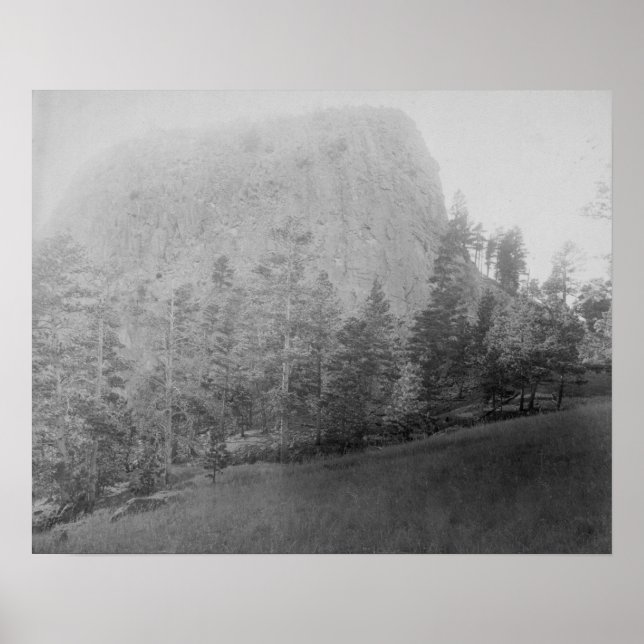 Little Missouri Butte Beyod Field and Trees Poster (Vorne)