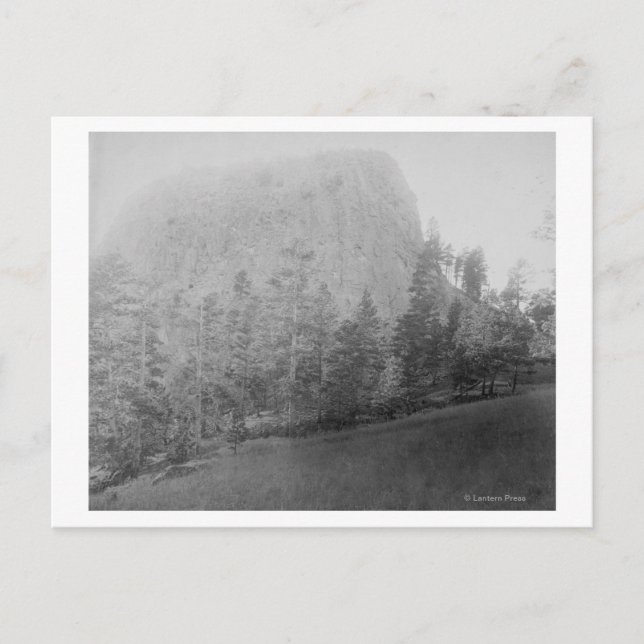 Little Missouri Butte Beyod Field and Trees Postkarte (Vorderseite)