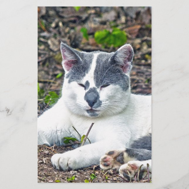 Little Mister Pants (Vorderseite)