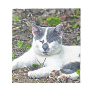 Little Mister Pants Notizblock