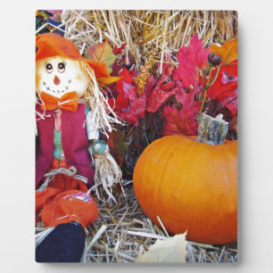 Little Mister Scarecrow Fotoplatte