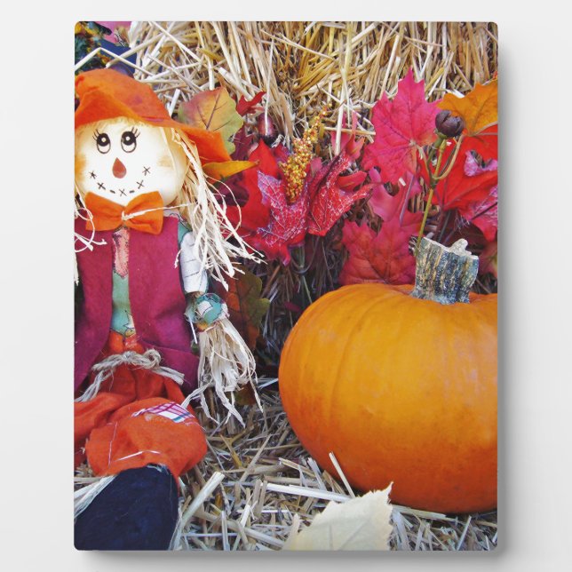 Little Mister Scarecrow Fotoplatte (Vorderseite)