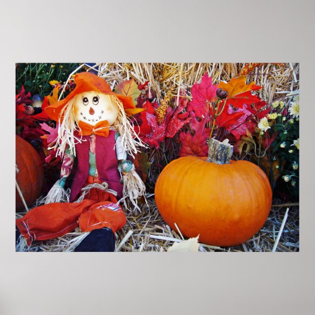 Little Mister Scarecrow Poster (Vorne)