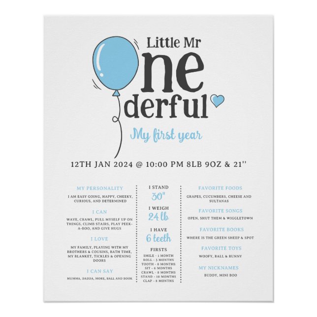 Little Mr Onederful First Bday Milestone Poster (Vorderseite)
