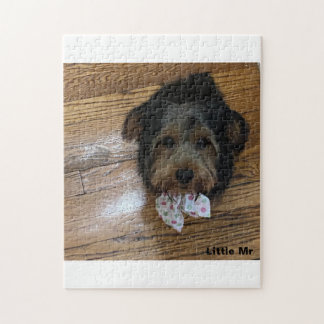 Little Mr. Puzzle