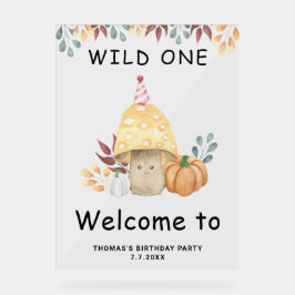 Little Mushroom erste Geburtstagsparty Acrylschild