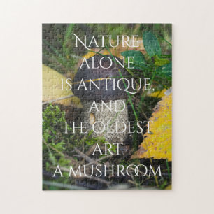 Little Mushroom Puzzle