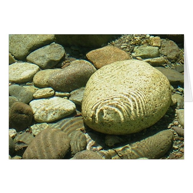 Little N. Fork Santiam River near Salem Oregon (Vorderseite (Horizontal))