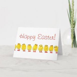 Little Oaster Chicks Card Feiertagskarte