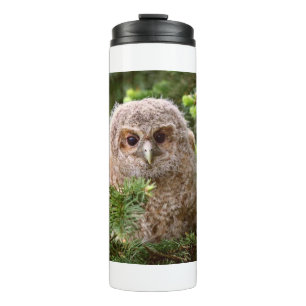 Little Owl 11 Thermosbecher