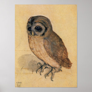 Little Owl, 1508 von Albrecht Durer Poster