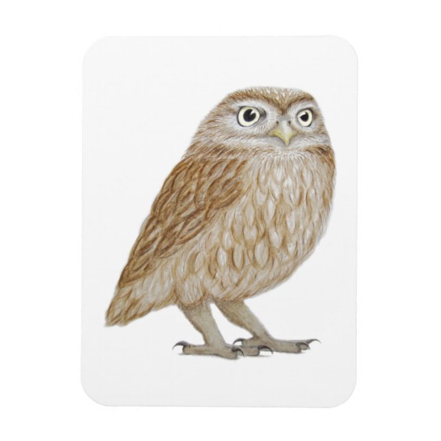 Little Owl 2011 Magnet (Vertikal)