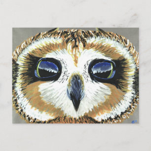 Little Owl Eyes Postkarte