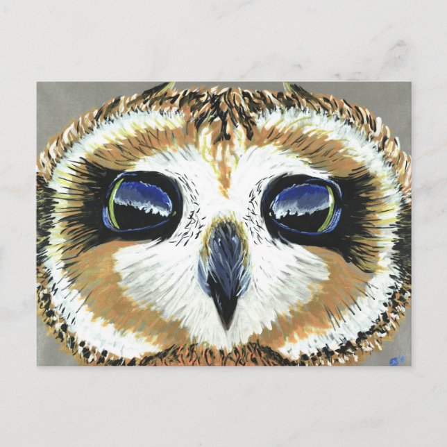 Little Owl Eyes Postkarte (Vorderseite)