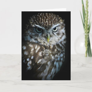 Little Owl Greetings Card Karte
