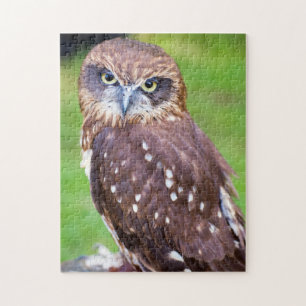 Little Owl Jigsaw Puzzle