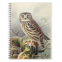 Little Owl Notebook
