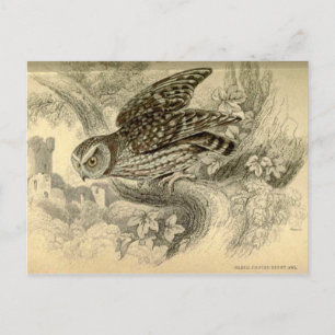 Little Owl: Vintage Jardine-Illustrationskarte Postkarte