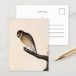 Little Owl | William Lewin Postkarte<br><div class="desc">Little Owl (vor 1790) | William Lewins Little Owl ist ein bezauberndes und präzises Gemälde mit einer kleinen braunen Eule, die auf einem Ast auf einem minimalistischen neutralen Hintergrund steht. Das Kunstwerk erfasst den ausdrucksvollen Blick der Eule, die weichen Federn und die kompakte Form mit viel Liebe zum Detail. Die...</div>
