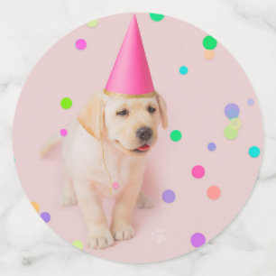 Little Paws Gelbe Labrador Welpenpink Geburtstag Konfetti