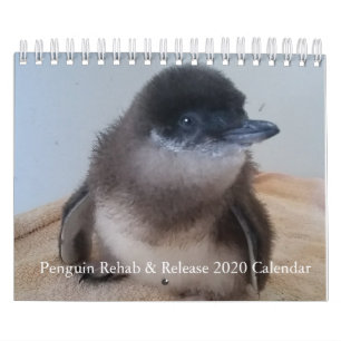 Little Penguin Kalender 2020