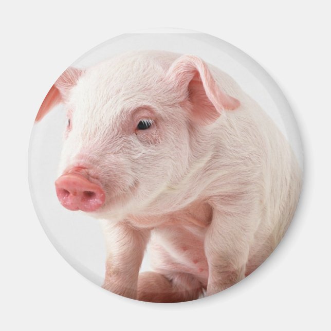 Little Pig Magnet (Vorne)