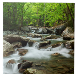 Little Pigeon River at Greenbrier Fliese