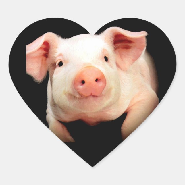 Little Piggy Herz-Aufkleber (Vorderseite)