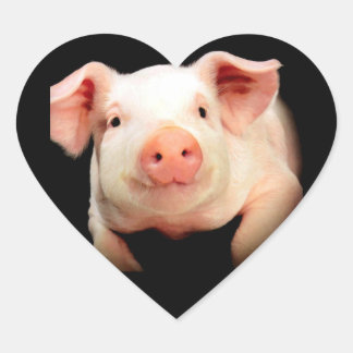 Little Piggy Herz-Aufkleber