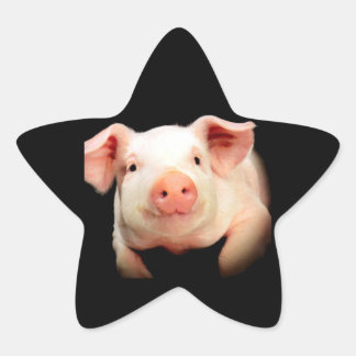 Little Piggy Stern-Aufkleber