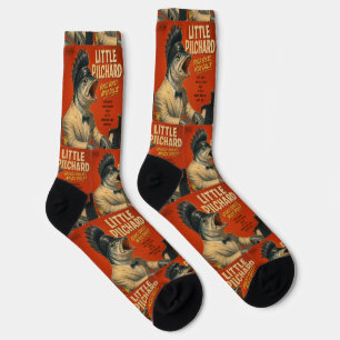 Little Pilchard Album: eine Parodie Socken