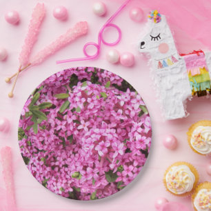 Little Pink Daphne Floral Pappteller