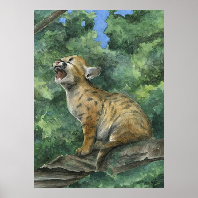 Little Puma Poster (Vorne)