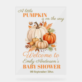 Little Pumpkin Baby Dusche Party Willkommen Acrylschild
