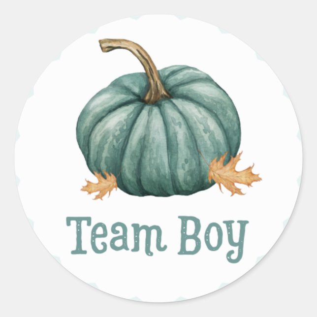 Little Pumpkin Gender Team Boy Reveal Stickers (Vorderseite)