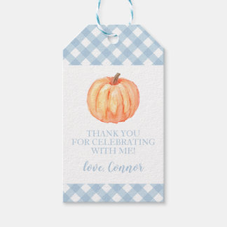 Little Pumpkin Pastellblau kariert erster Geburtst Geschenkanhänger