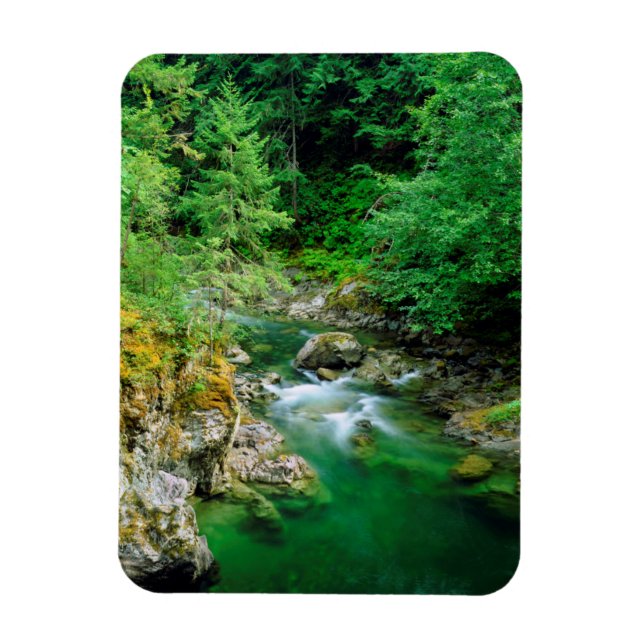 Little Qualicum River Magnet (Vertikal)