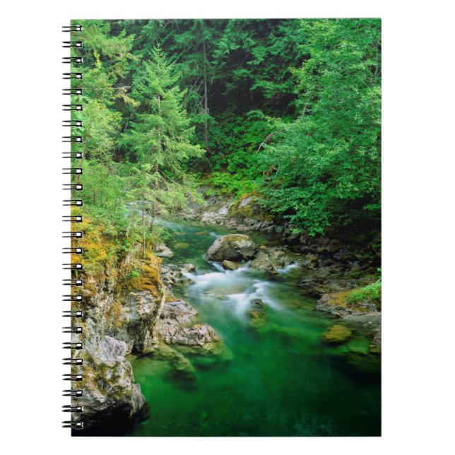 Little Qualicum River Notizblock (Vorderseite)