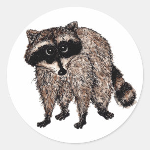 Little Raccoon Runder Aufkleber