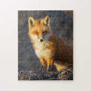 Little Red Fox Puzzle