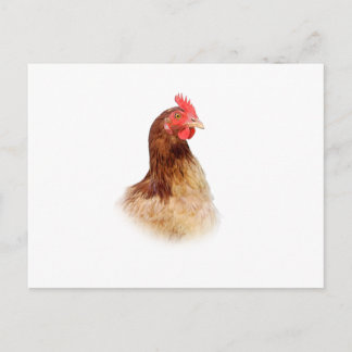 Little Red Hen Postcard Postkarte