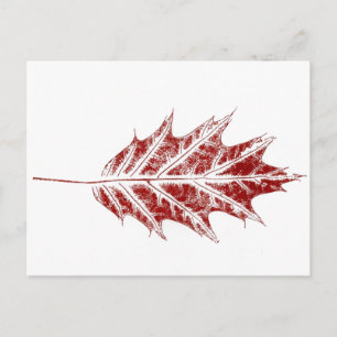 "Little Red Oak" Landstraßen Postkarte