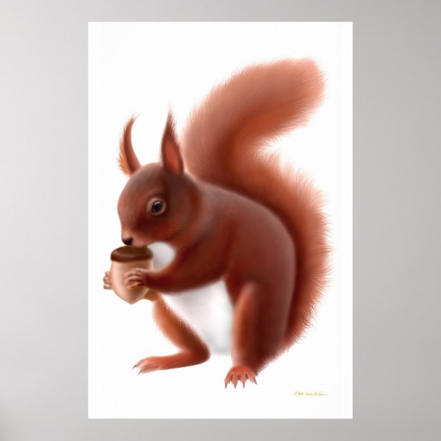 Little Red Squirrel Print Poster (Vorne)