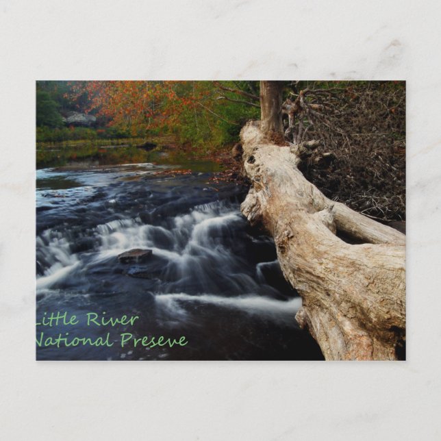 Little River Postkarte (Vorderseite)