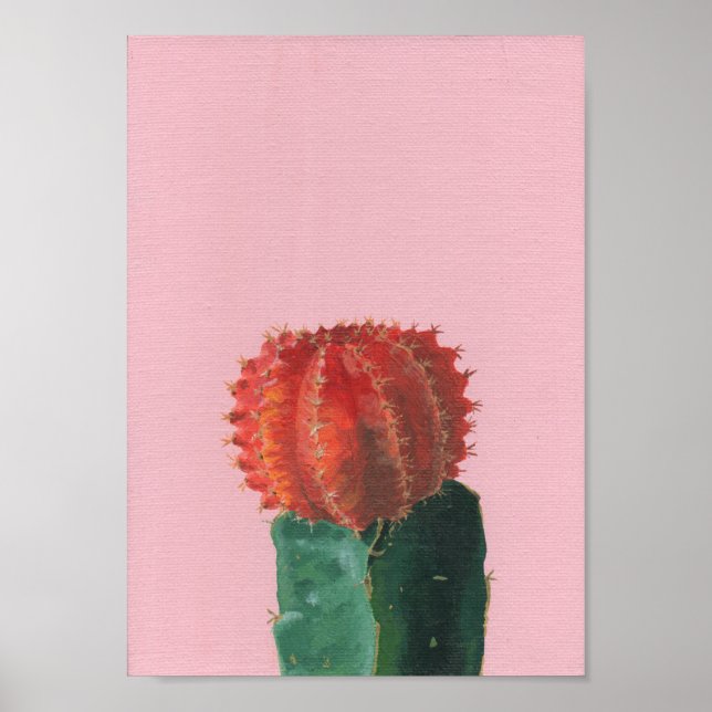 Little Ruby Ball Cactus Acrylic Painting Poster (Vorne)