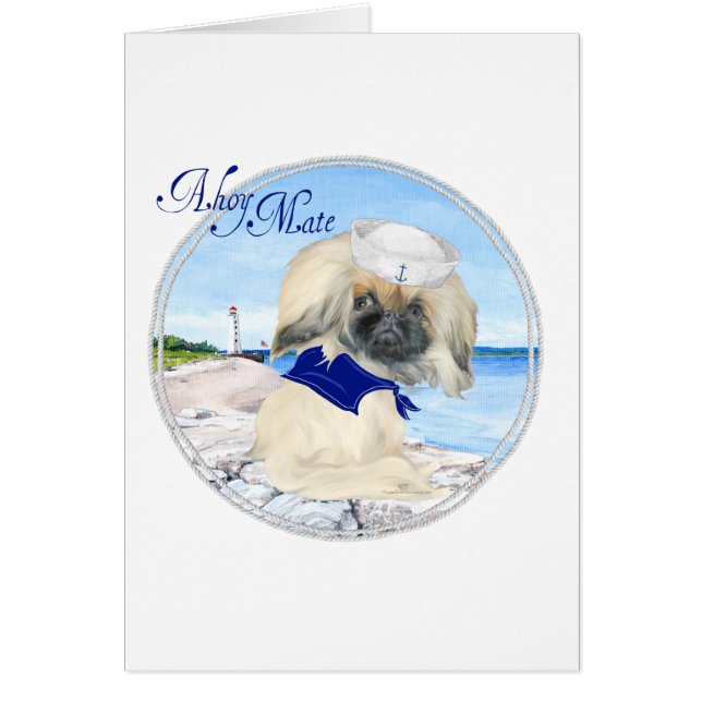 Little Sailor Pekingese (Vorne)