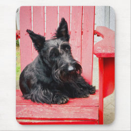 Little Scottie in einem großen roten Stuhl Mousepad