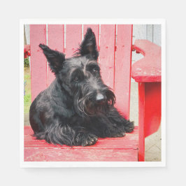 Little Scottie in einem großen roten Stuhl Serviette