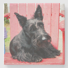 Little Scottie in einem großen roten Stuhl Steinuntersetzer