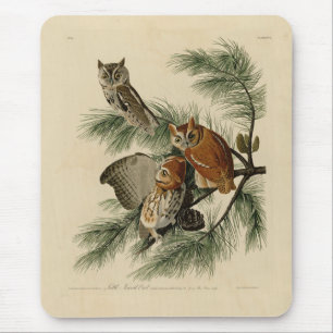Little Screech Owl von Audubons Vögeln in Amerika Mousepad